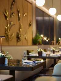 🌟 Sofia's Finest Stays: Hilton Highlights ✨