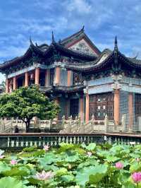 誤入藕花深處，深圳小蘇杭，古城荷花