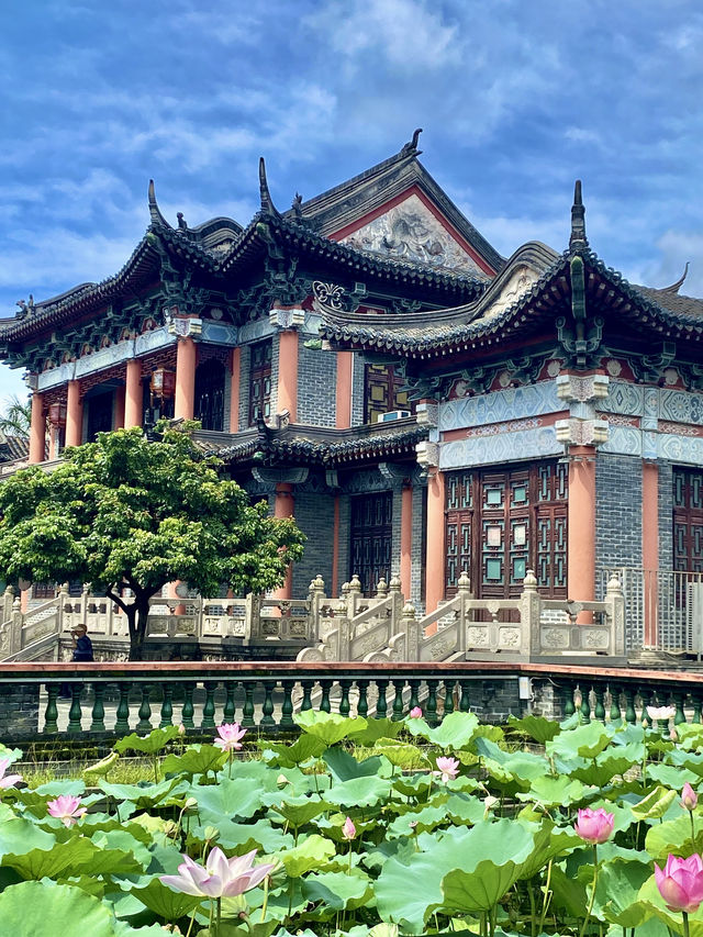 誤入藕花深處，深圳小蘇杭，古城荷花