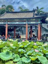 誤入藕花深處，深圳小蘇杭，古城荷花