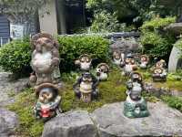 京都夏季苔綠之行