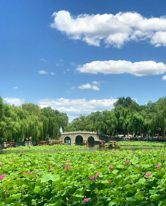 這個夏天怎麼能不去趟北海公園呢!