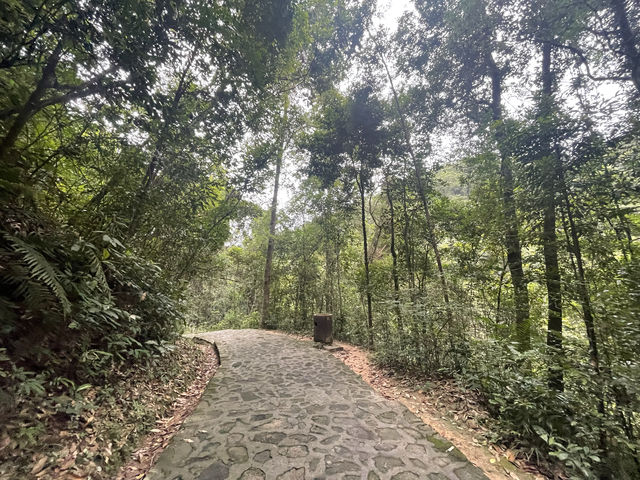 從化廣東溫泉賓館裡面的白石山