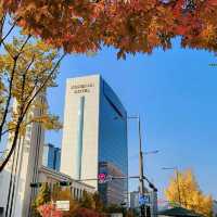 首爾Koreana Hotel：光華門畔，美食盛宴