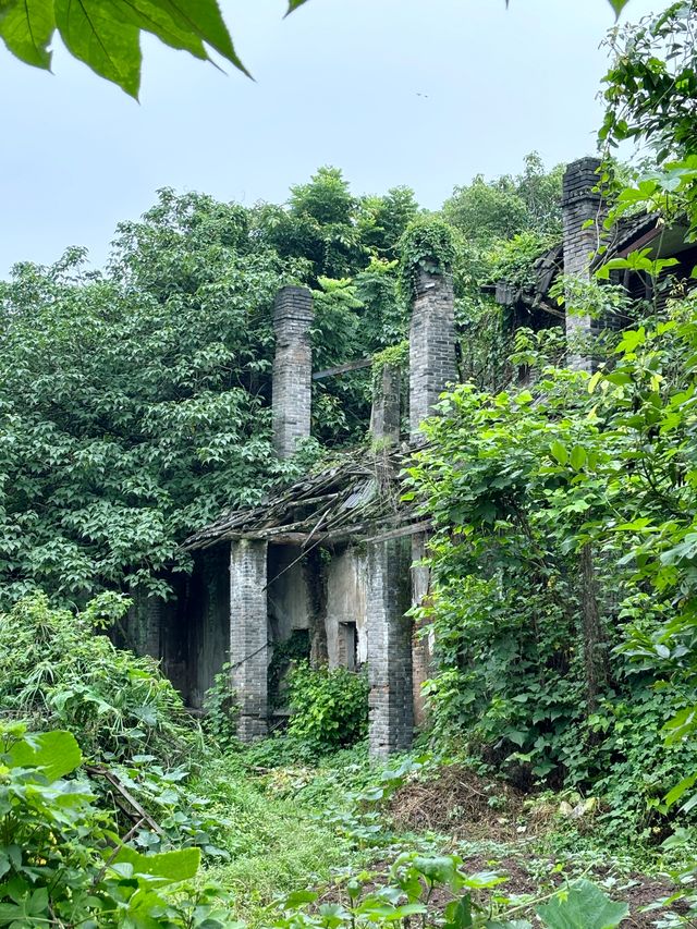 重慶 | 陳電村