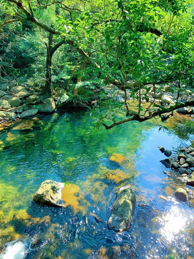 【香港城門水塘】Wanaka的鬆弛感🔥，湖面倒影美好寧靜🏖️🏖️😍。週末適合行程🥰