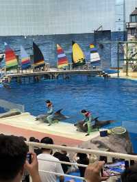 夏日沉浸在夢幻海底奇境