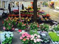 Swiss Bliss in Zurich!