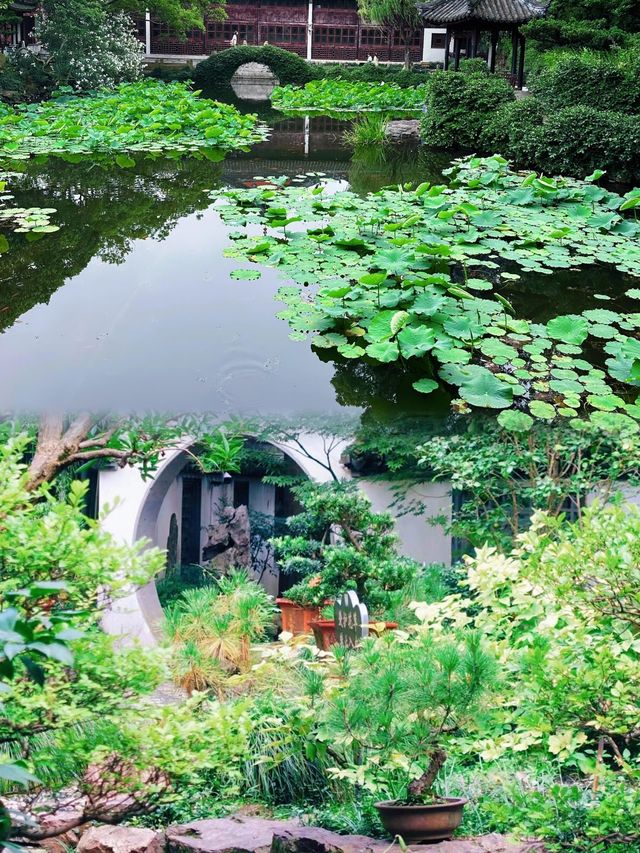 古韻曲水園～江南園林秀色如畫！！！