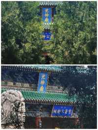 探秘鹽之神殿 | 運城池神廟的千年頌歌