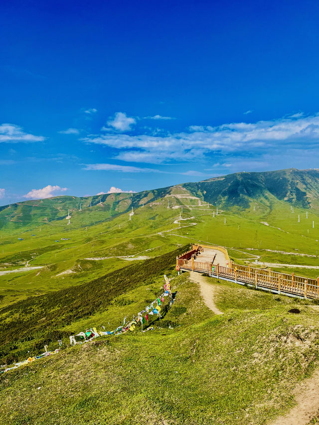 登上烏鞘嶺，站在三大高原交匯點，值得打卡