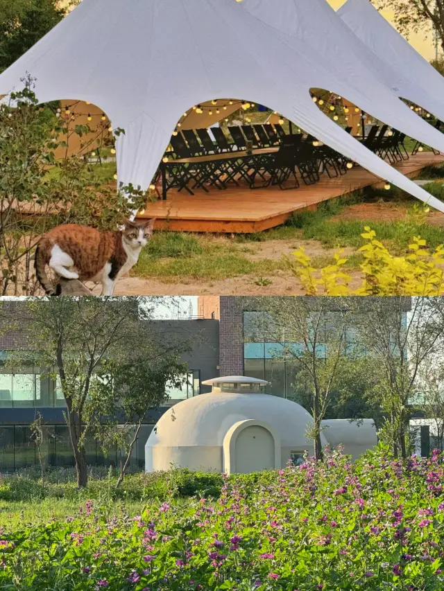 烏魯木齊公園裡的民宿！吃喝玩樂一站式度假！