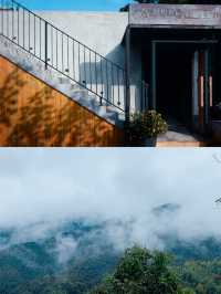 山野生活｜山中來信——一起住進山水間