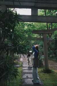 東京｜悠閒漫步·代代木公園到根津美術館 🚶‍♂️🌳🎨