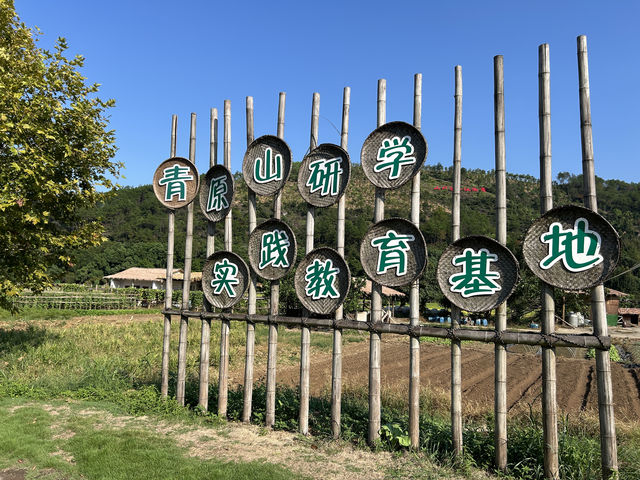 不可錯過的靜修之地——江西吉安青原山。