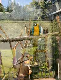 綠野仙蹤，動物樂園 —— 濟南動物園的奇妙探險。