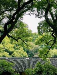 別讓忙碌掩蓋了生活的浪漫。