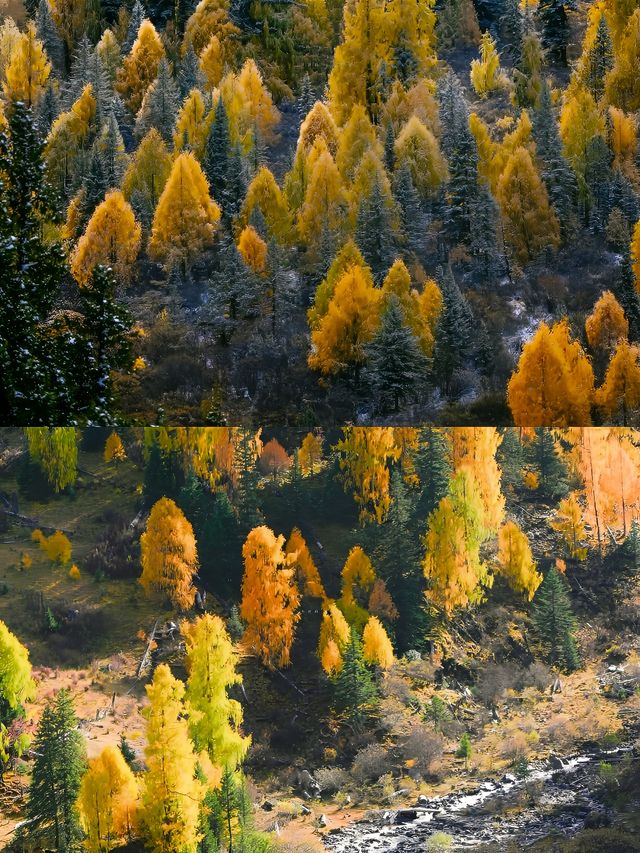 在川西找到了我的精神保護區。