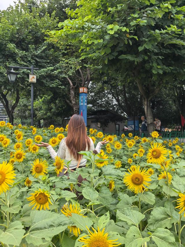 花海尋芳，邂逅美好。