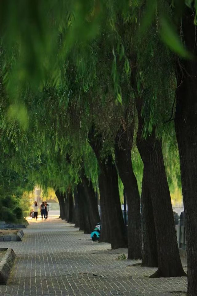 踏秋聚會｜一家超適合團建聚會的中式庭院。