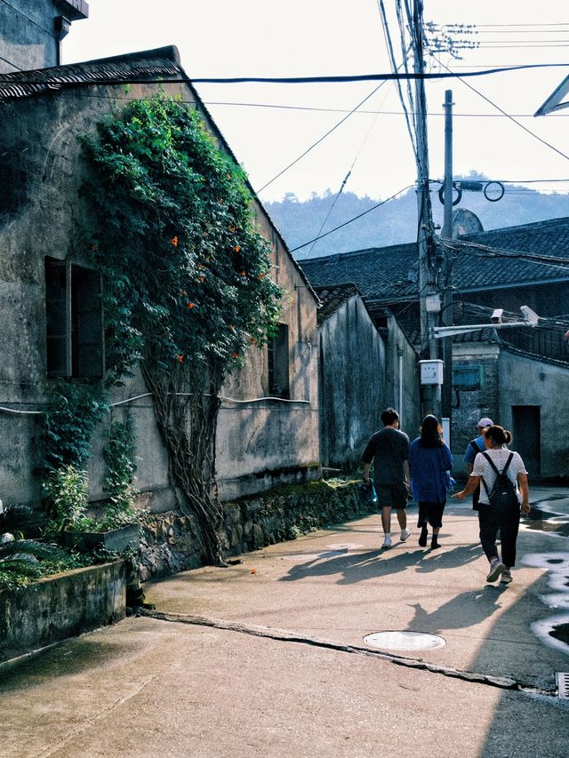 寧波旅遊|東錢湖利民村|寧波的治癒系「小洱海」。