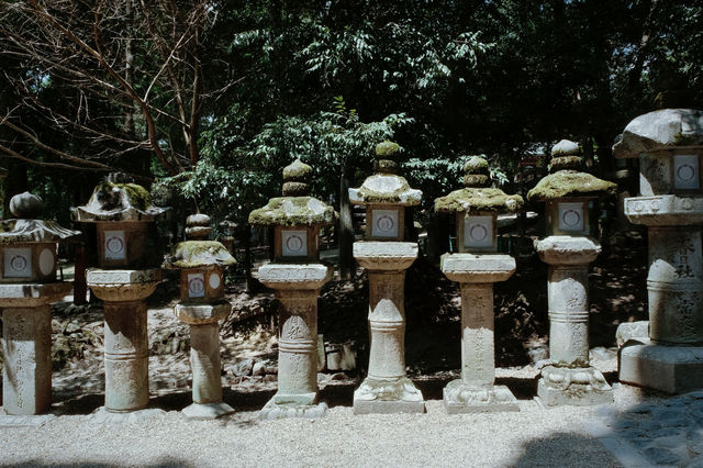 京都出發｜宇治．奈良 一日遊攻略來咯。