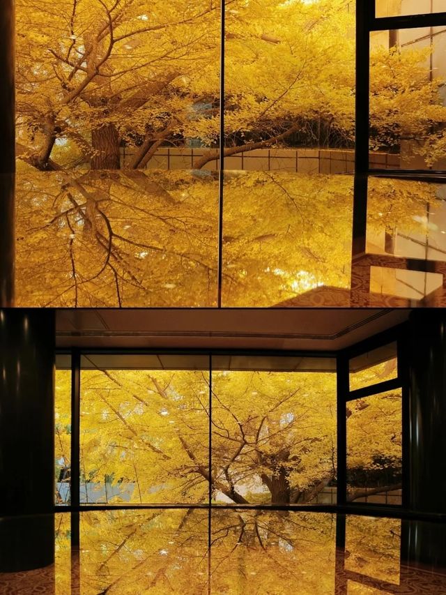 「琉璃光院」並非位於京都，而是在首都。