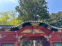 Exploring the Cultural and Natural Heritage of Nikko