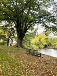 Experience the Vibrant Fall Foliage in New York City via Subway
