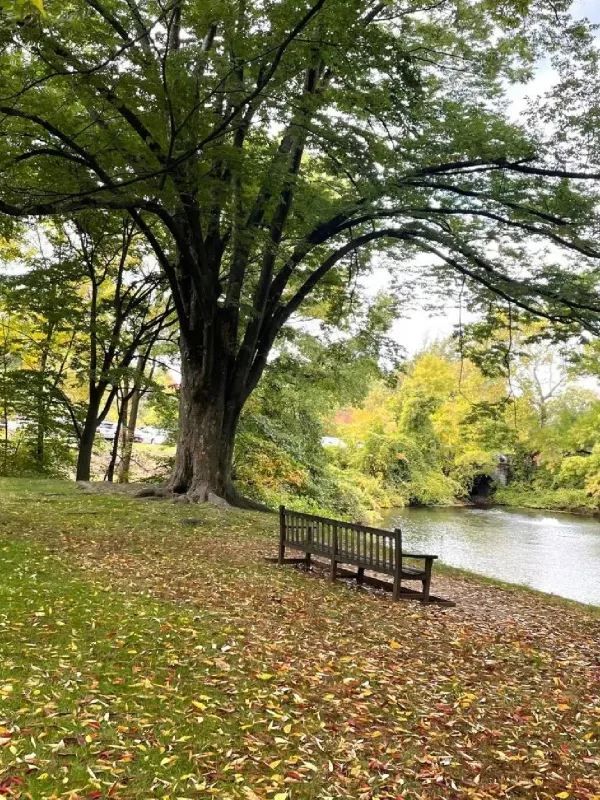 Experience the Vibrant Fall Foliage in New York City via Subway