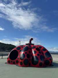 Renting a Pumpkin Car for a Day on Naoshima