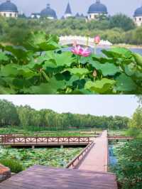 唐山文旅鉑爾曼酒店——探索華北明珠之旅。
