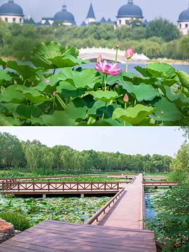 唐山文旅鉑爾曼酒店——探索華北明珠之旅。