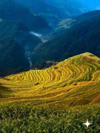 貴州加榜梯田：秋天的金色階梯奇觀|||加榜梯田的最佳旅行時間。