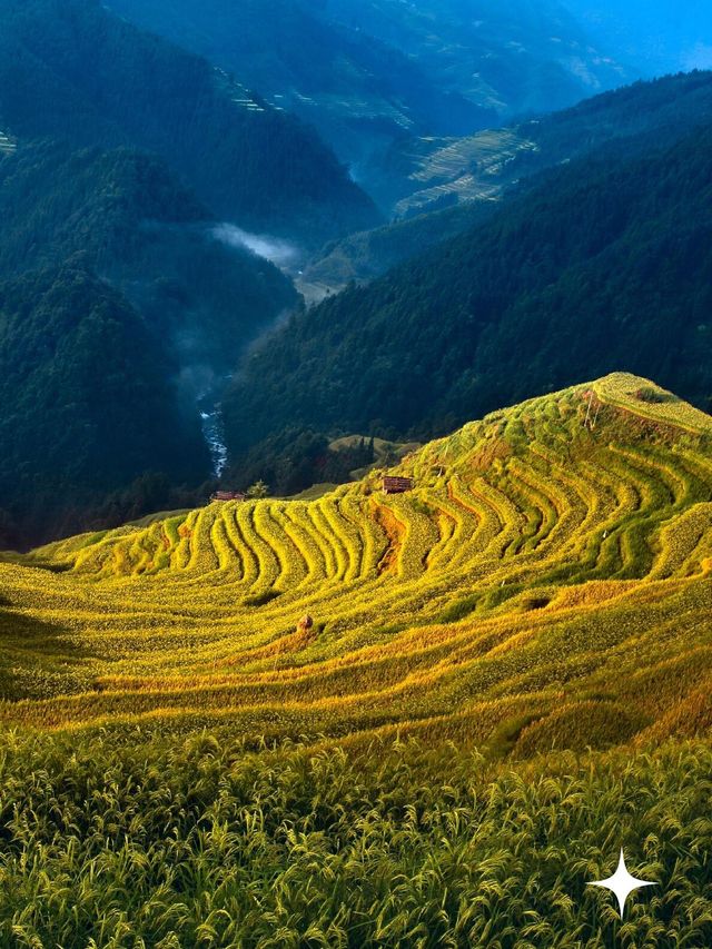 貴州加榜梯田：秋天的金色階梯奇觀|||加榜梯田的最佳旅行時間。