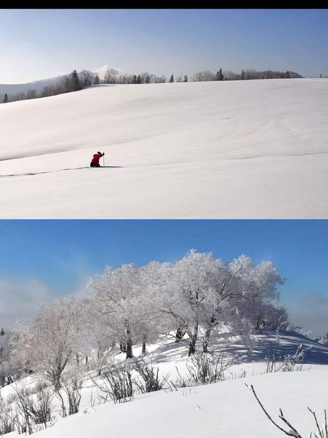 雪谷住宿，鎖定這家冰系寶藏客棧。