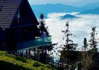 普洱倚象山營地:自然奢華的茶園之旅