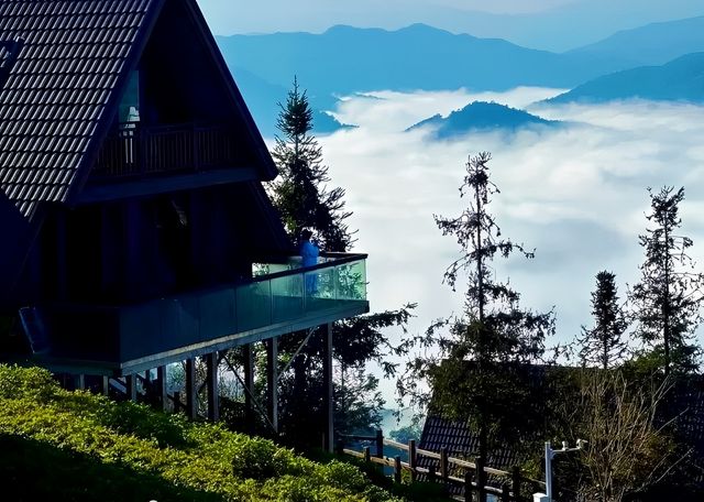 普洱倚象山營地:自然奢華的茶園之旅 普洱倚象山營地:自然奢華的茶園之旅