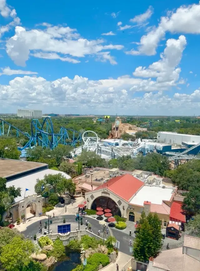 Ocean Adventure: A Dreamy Journey to SeaWorld Orlando