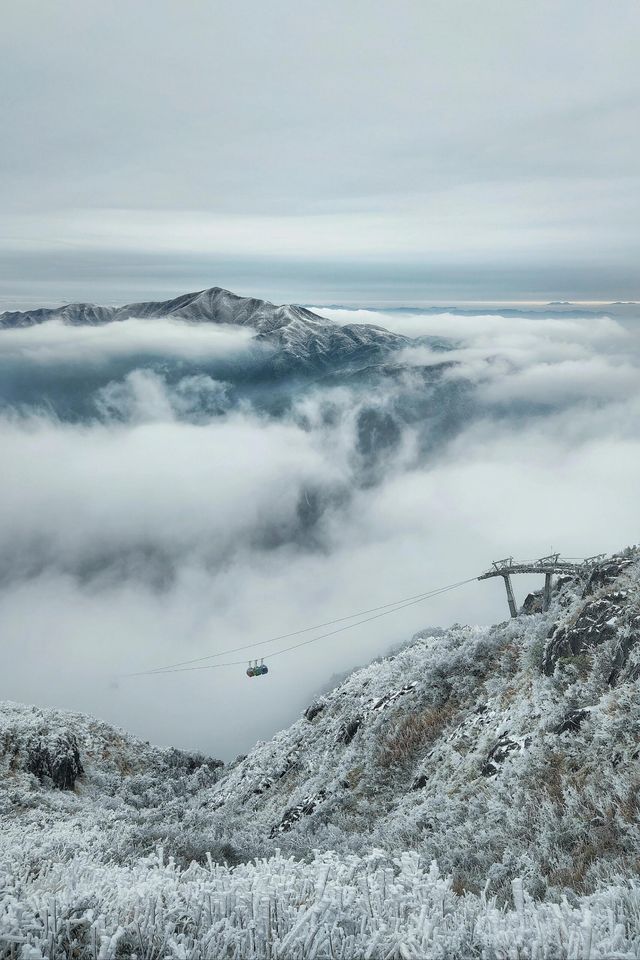 清遠｜金子山