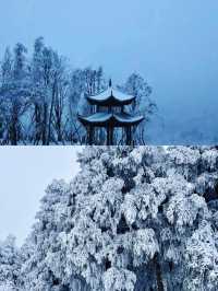 來重慶實現現實版「冰雪奇緣」