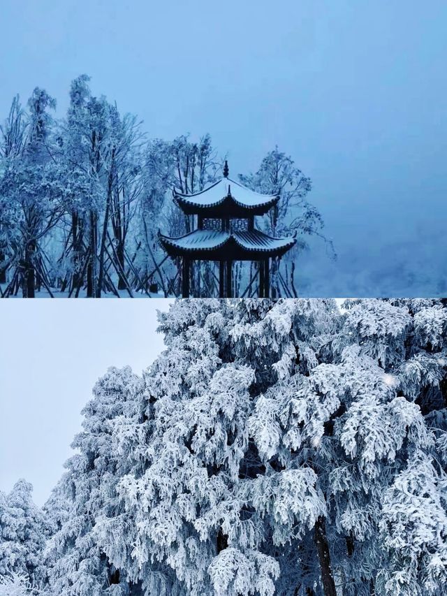 來重慶實現現實版「冰雪奇緣」