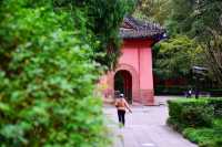 南郊公園｜一處隱藏在都市中的古色古香