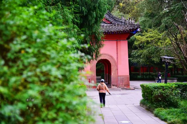 南郊公園｜一處隱藏在都市中的古色古香