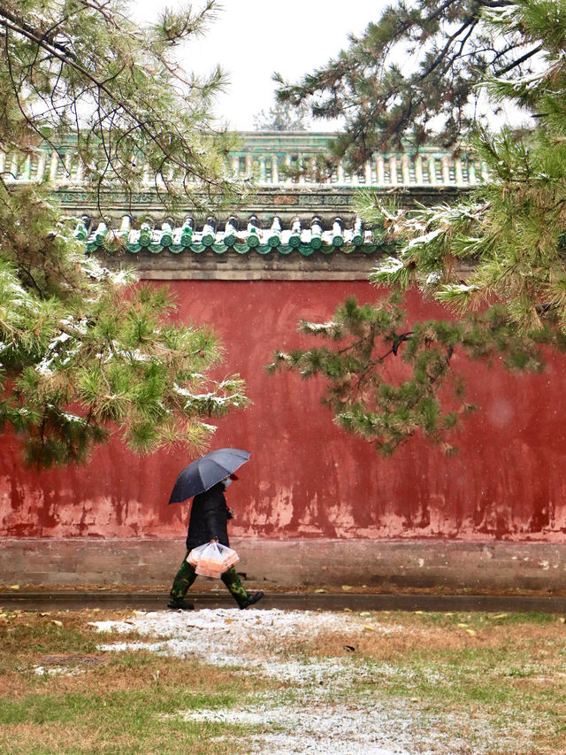 下雪後的地壇，簡直就是中式美學的巅峰