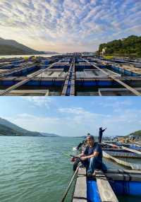 巽寮灣海上魚排釣魚玩樂 再不來就沒有了