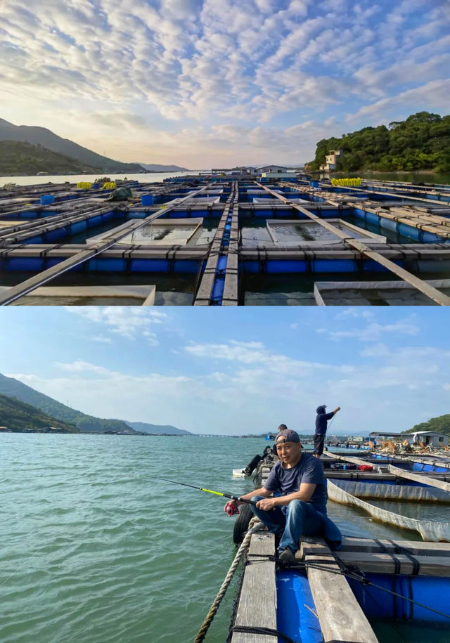 巽寮灣海上魚排釣魚玩樂 再不來就沒有了