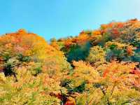 龍頭山風景區