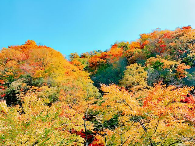 龍頭山風景區