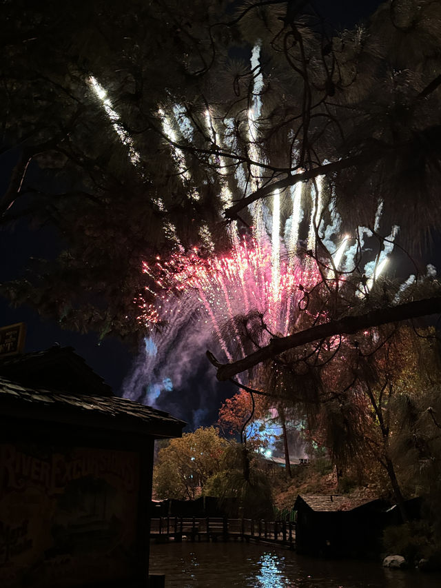 A Day at California Disneyland: 16 Rides and More!